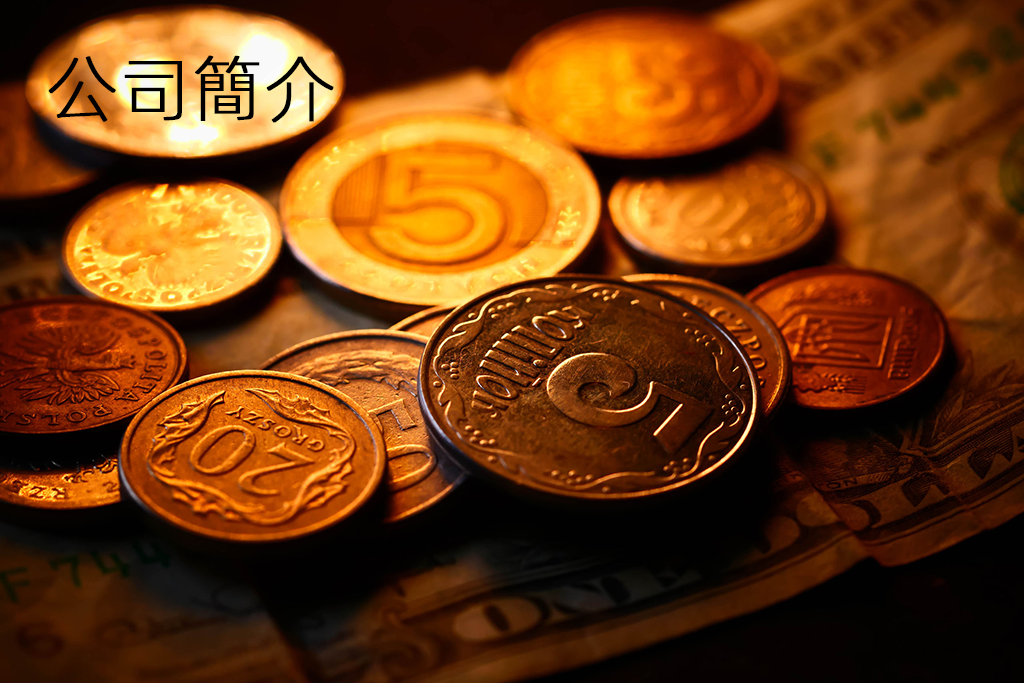 公司簡介